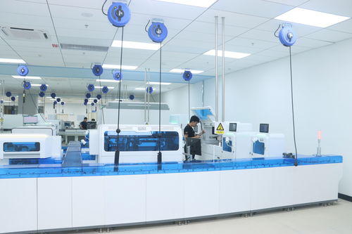 AI深度賦能 創新驅動下的新產業公司效率提升與開發轉型